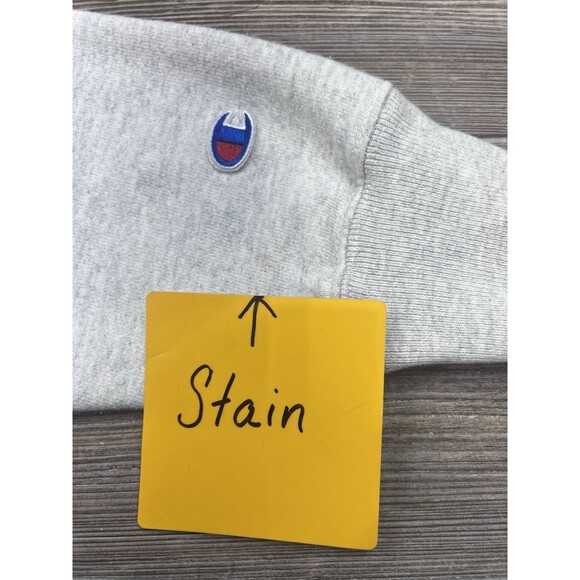 VTG Hope College Gray CHAMPION Reverse Weave SPELL OUT w SEAL Sweatshirt Men's L - Picture 9 of 12